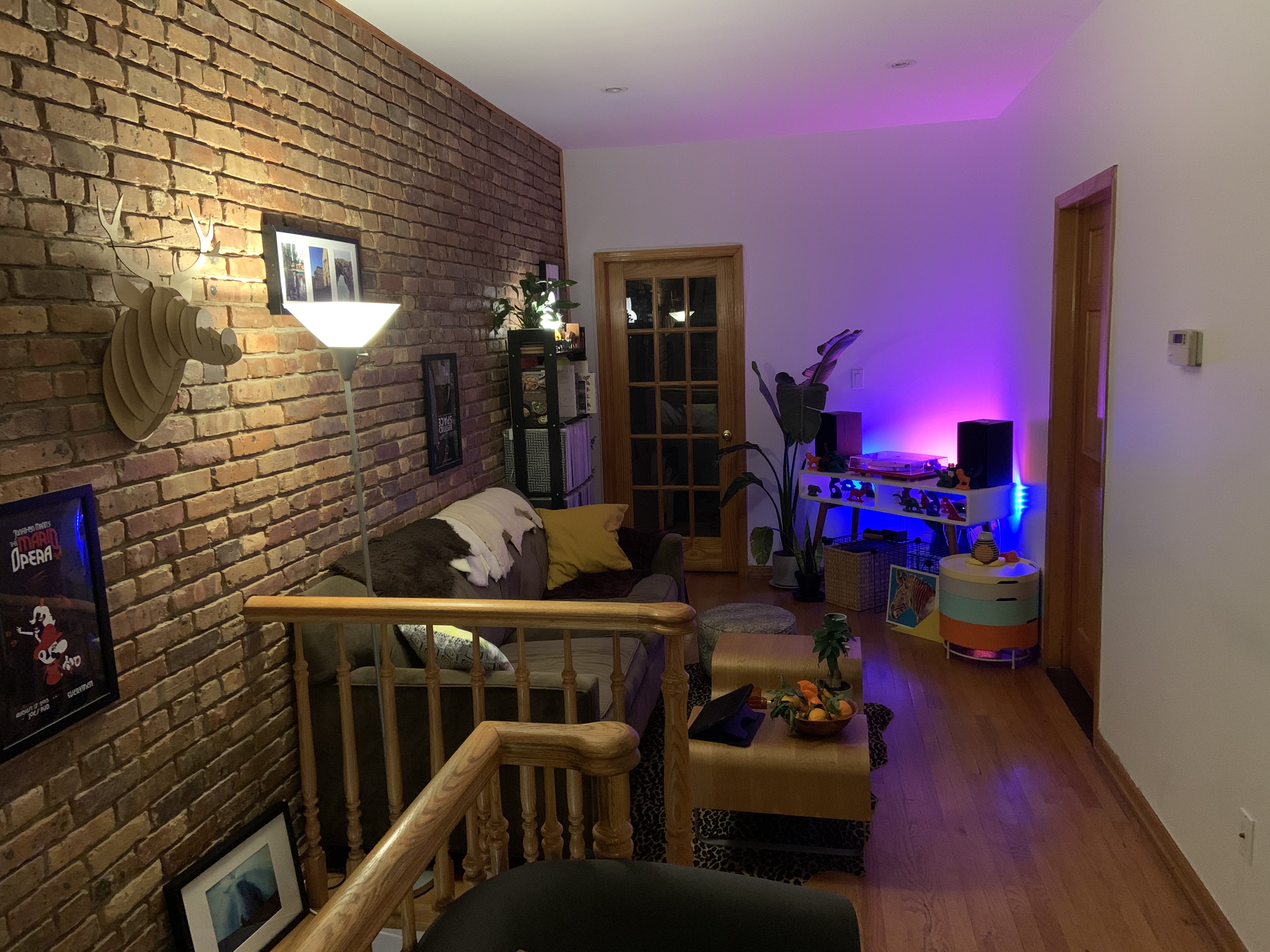 Living room with entrance to work space basement. My bedroom is in the back.